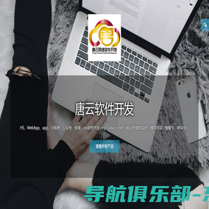 唐云软件开发 H5、WebApp、app、小程序、公众号、安卓、ios软件开发 php、java、.net 人脸识别安防监控、楼宇对讲、智能卡、呼叫中心