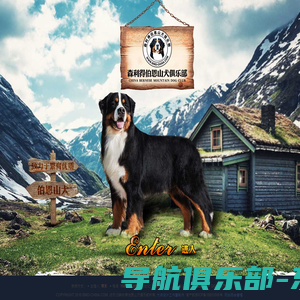 首页 - 伯恩山犬,伯恩山,森利得犬舍,bmdchina