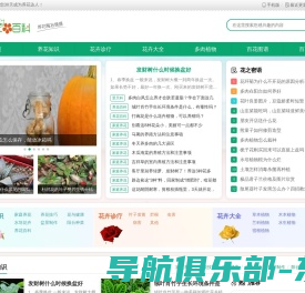 道道花百科 - 养花知识,花图谱,花语录,花卉大全